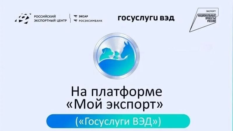 На платформе «Мой экспорт» («Госуслуги ВЭД») стал доступен сервис для получения ветеринарных разрешений на ввоз товаров