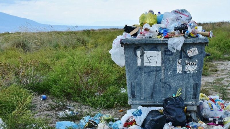 Прокуратурой выявлены нарушения в сфереобращения с ТКО