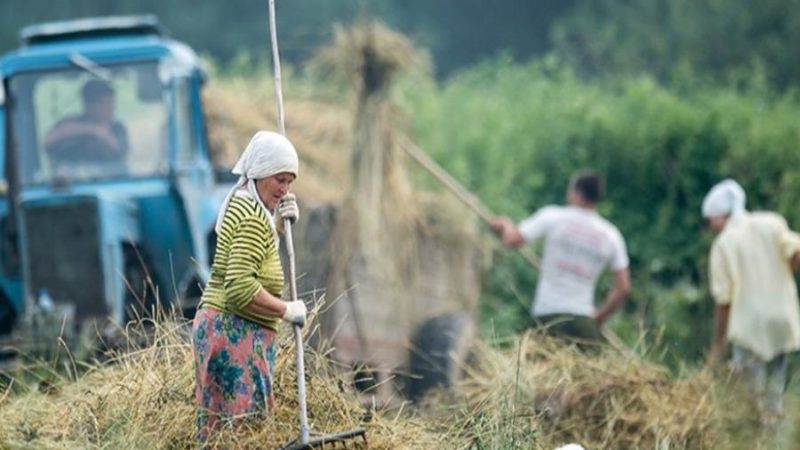 Дополнительные гарантии женщинам, работающим в сельской местности