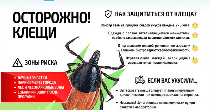 Рекомендации от Минприроды ЧР для населения в связи с увеличением случаев укусов клещей