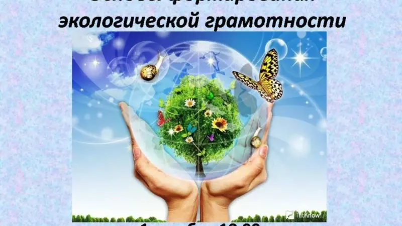 В школах Курчалоевского района прошли уроки экологической грамотности