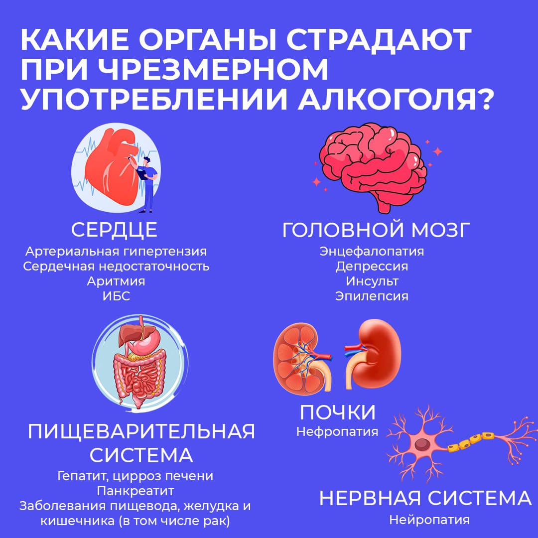 В России стартовала Неделя сокращения потребления алкоголя
